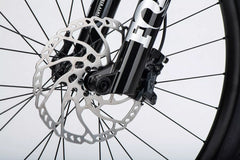 Ghost E-Riot EN CF Pro