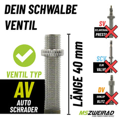 2x Schwalbe Schlauch AV17 40mm (28") 28/47-622/635 Modell 2026 mit MSZweirad Reifenheber