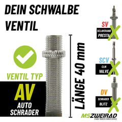 2x Schwalbe Schlauch AV19 40mm 40/62-584/635 Modell 2026 mit Reifenheber