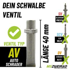 2x Schwalbe Schlauch AV13 40mm 26" 40/62-559 Modell 2026 mit Reifenheber