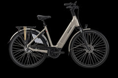 Batavus Finez E-go® Power Exclusive Plus RT 750 Low champagner gold