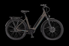 WINORA Sinus R5f Low Peat matt