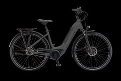 WINORA Tria N8f Low Microchip Grey glossy glänzend