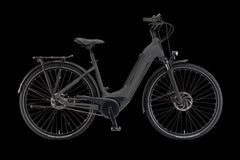 WINORA Tria N8f Low Microchip Grey glossy glänzend