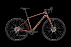 GHOST ASKET ADVANCED Unisex light grey/metallic anthrazit - glossy glänzend