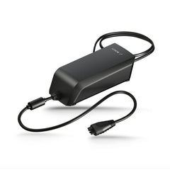 Bosch 6 A Ladegerät Fast Charger EU (BCS250)