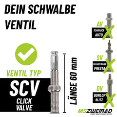2er Set Schwalbe Schlauch SCV17 28/47-622/635 40mm + Reifenheber