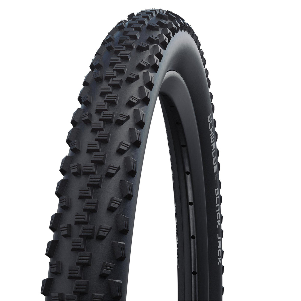 Schwalbe Fahrradreifen Black Jack HS 407 black`n`roll 12 x 1,90 (47-203)
