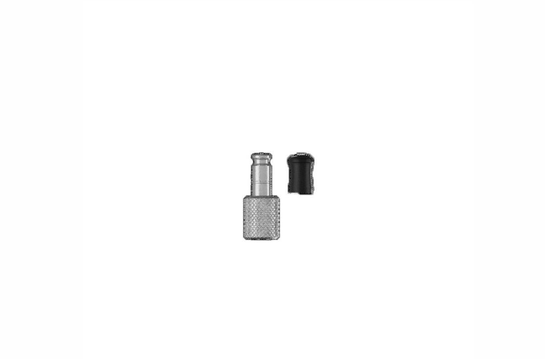 Schwalbe Ventiladapter AV-SCV